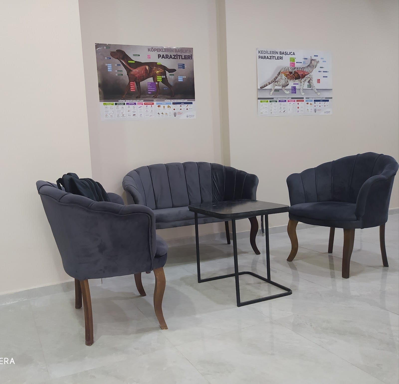 Veteriner kliniği bekleme salonu — temiz ve modern
